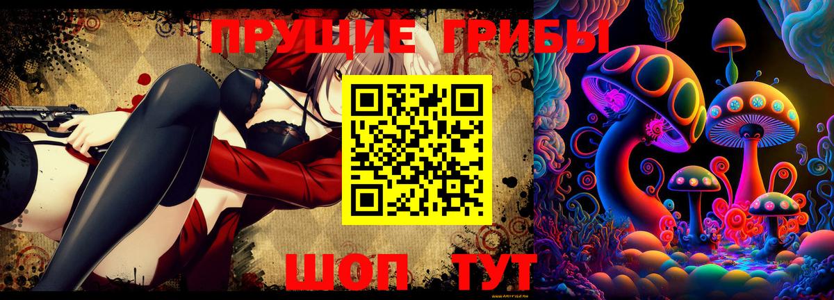 Ставрополь  Псилоцибиновые грибы Magic Shrooms  Вход с VPN 